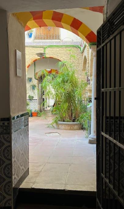 Apartmán Patio De La Corredera Córdoba Exteriér fotografie