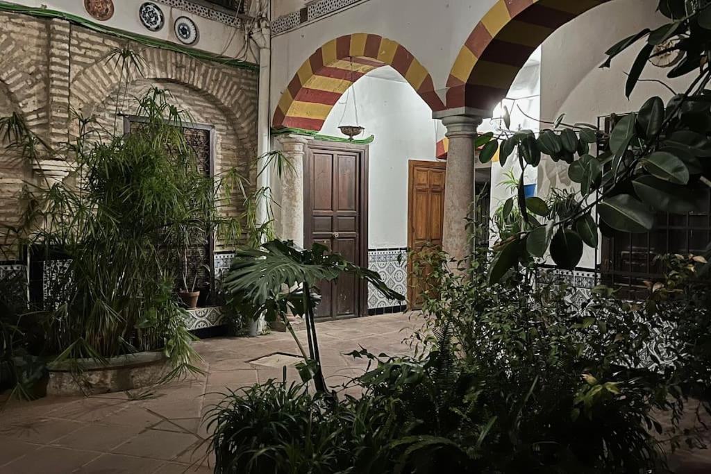Apartmán Patio De La Corredera Córdoba Exteriér fotografie