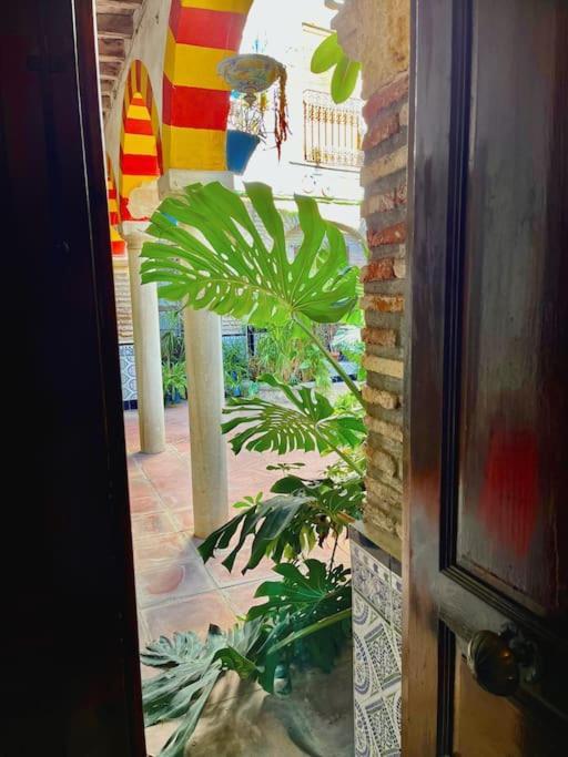 Apartmán Patio De La Corredera Córdoba Exteriér fotografie