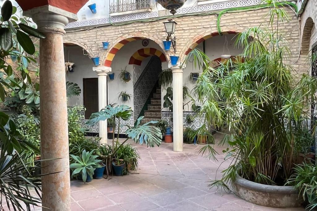 Apartmán Patio De La Corredera Córdoba Exteriér fotografie